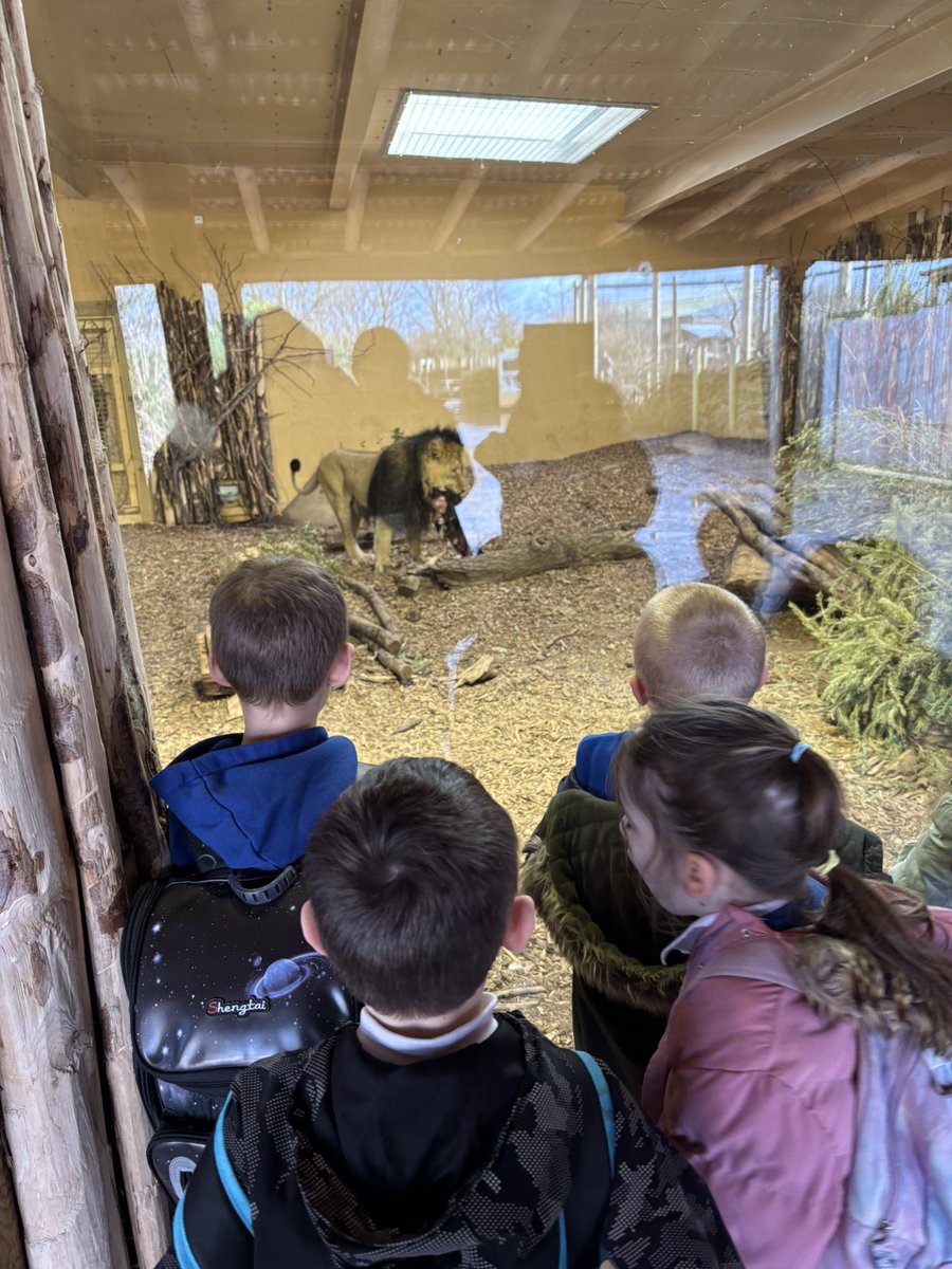 wolverham_rowan's tweet photo. We had a great day at Chester Zoo! https://t.co/DnyC6WUKGY
