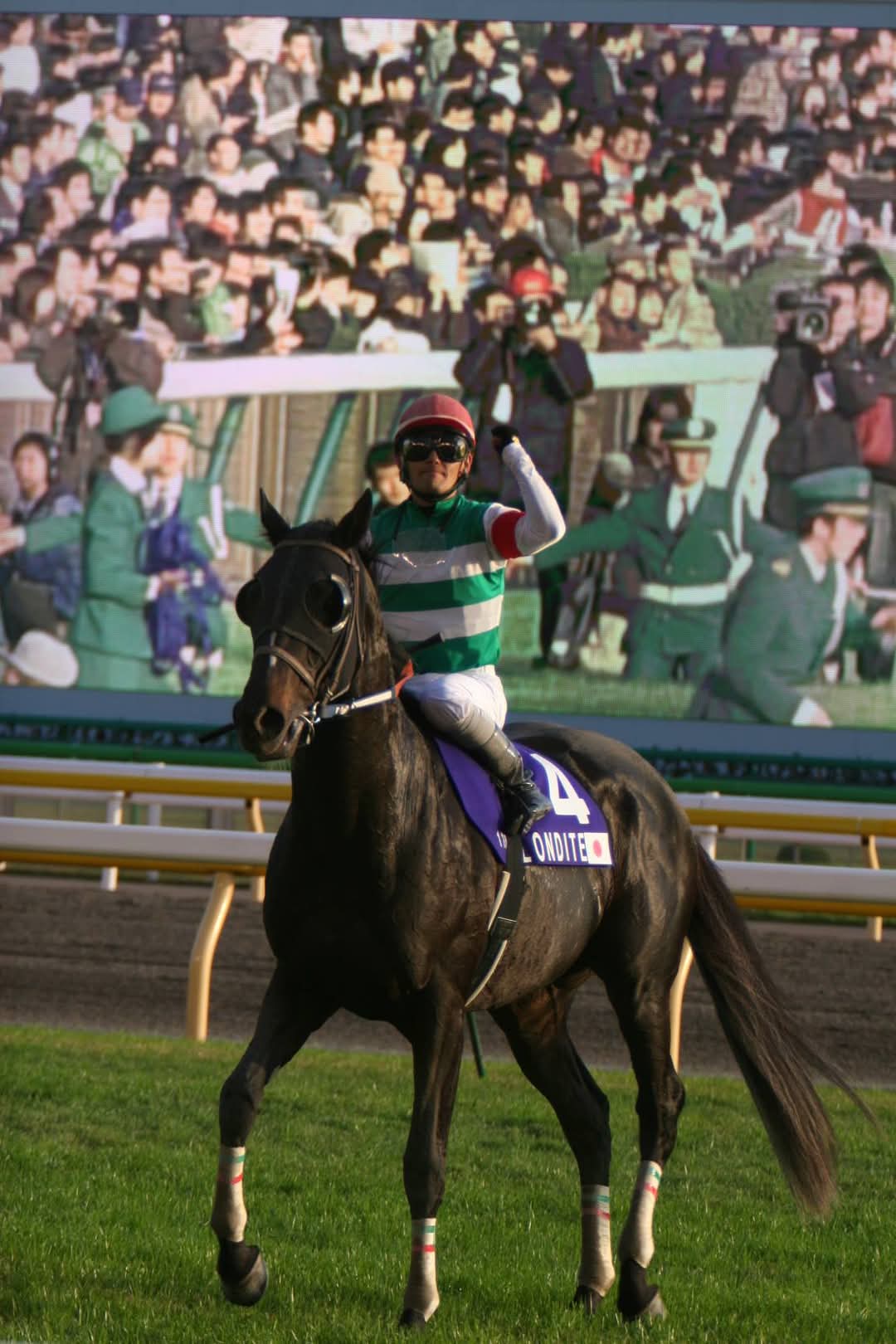 【期限切れ単勝馬券】第7回ジャパンカップダート　アロンダイト2006/11/25 税込】 期限切れ単勝馬券】 第7回 ジャパンカップダート
