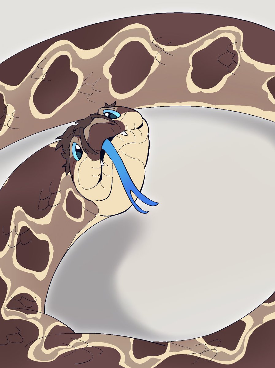 🐍肥美肉肠公式光🐍
有参考