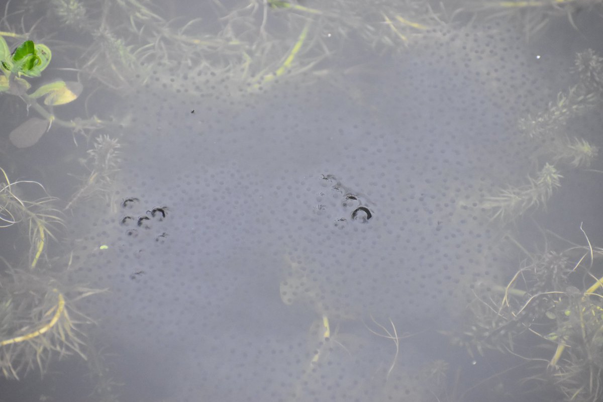 Steve Walker tweet media