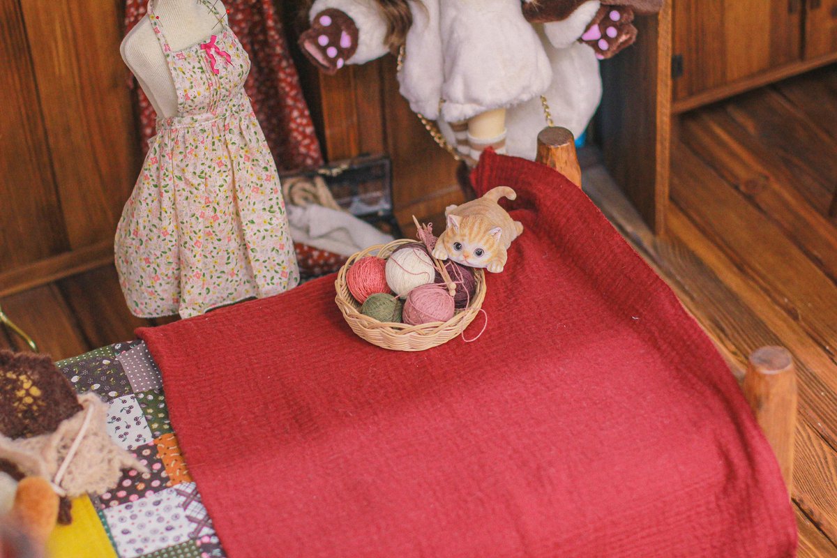 뜨개실노리는 엔유 베베냥🧶🐈