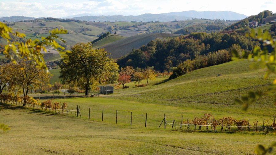 #DidYouKnow that the Consorzio del Prosciutto di Parma safeguards and upholds the traditional production methods and premium quality of #ParmaHam?