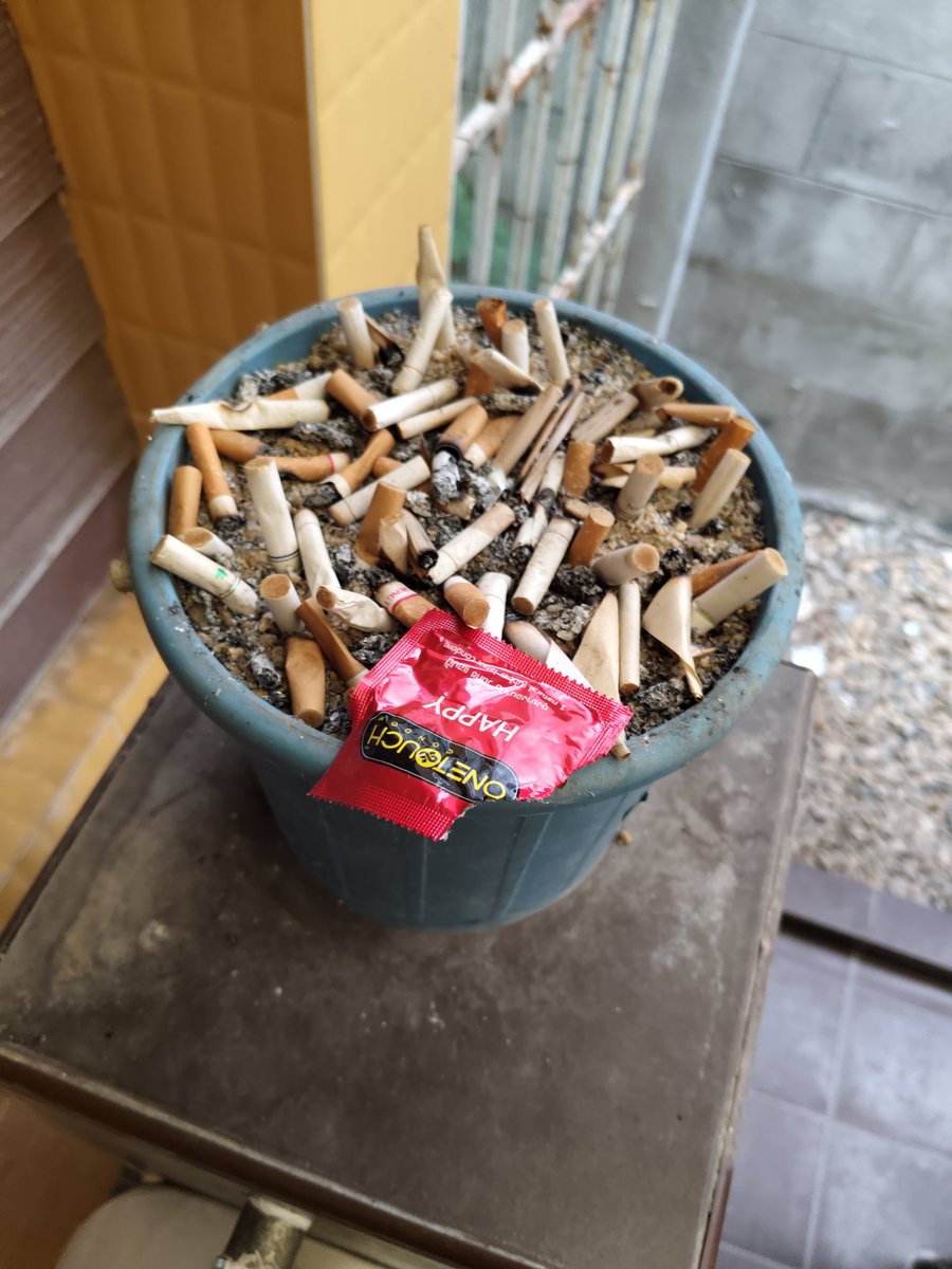 นัดซื้อป๊อบเปอร์ไว้ แล้วพี่คนขายเขาให้ลองเทสหนึ่งตัวก่อน เราก็เทสแล้วซื้อ จากนั้นแยกย้าย ด้วยความปวดเยี่ยวเลยแวะเยี่วก่อน เดินเข้าไปเยี่ยวแล้วเจอแบบนี้ มันยิ่งเงี่ยนไปใหญ่เลยเว้ย!!!! แล้วต้องไปหาที่ระบายน้ำออกกับใครที่ไหนวะแบบนี้