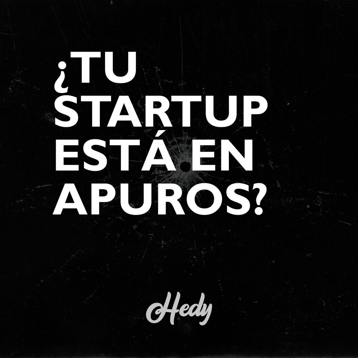 Hedy Software tweet media