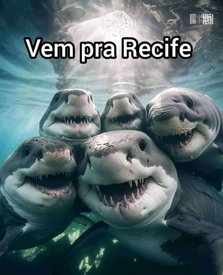 leozy (@leandrosko) on Twitter photo 