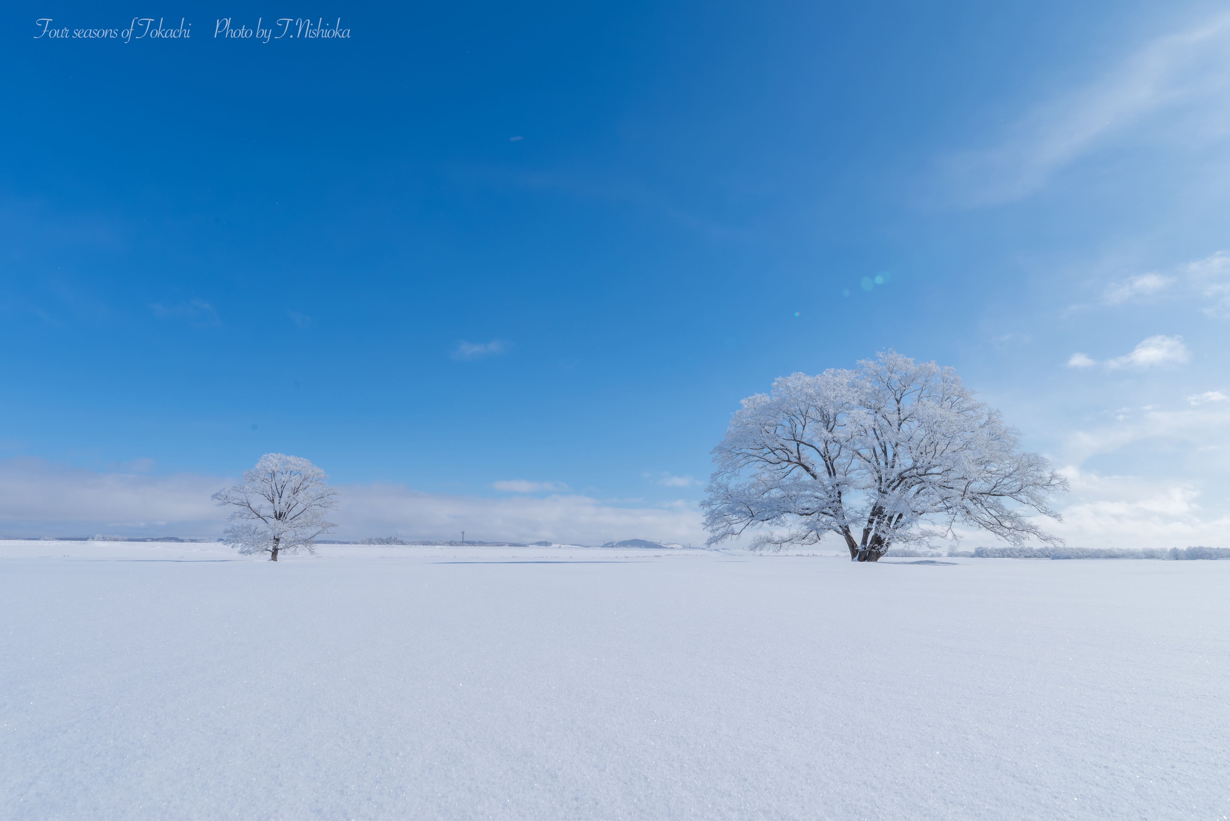 nishi@北海道十勝の風景写真 (@tokachiphoto) / X