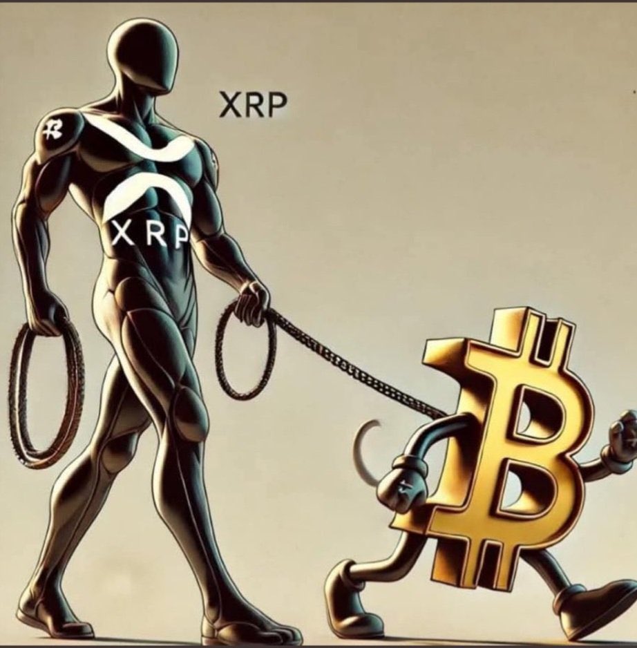 DRAGON_XRP66's tweet image. #XRP is a better reserve asset than #Bitcoin