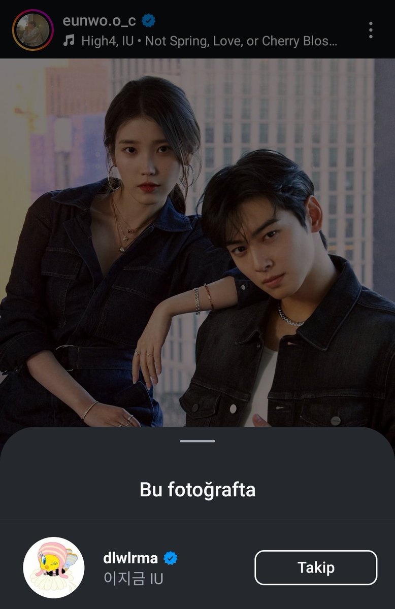 _geums8's tweet photo. IU debut in Cha Eun Woo s Instagram he tagged her account and used High4&amp;IU s NSLOCB as bgm for his post 💜 

ps : he really loves this song💜+
#IU #ChaEunWoo #ChaU #Chaumet https://t.co/uQsPPyzWtO