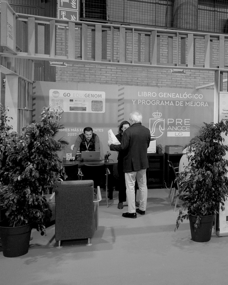 📌 SICAB 2025: stands ganaderos

Abrimos el plazo de solicitud para la renovación/nueva contratación de los stands ganaderos de la 35 edición de SICAB 2025, del 18 al 23 de noviembre en Sevilla ✨

➡️ ancce.es/2977

#SICAB #SICAB2025 #ANCCE #Caballos