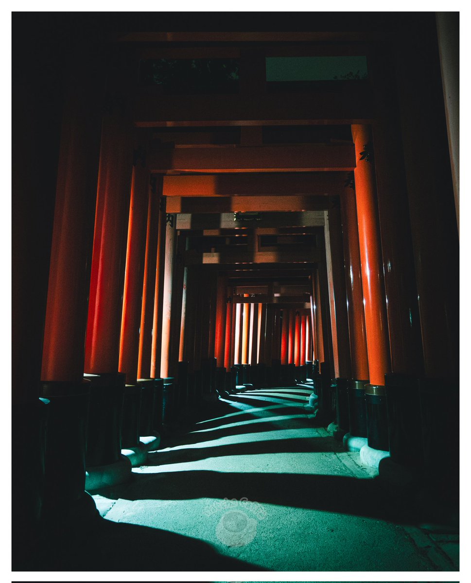 matcha_caffe_ph's tweet photo. It's a tangle of lifes 

#japan #photography #nightphotography #streetfood #shrine #kyoto #fushimiinari #nightwalk #sony #rx100 https://t.co/mSKggyCGsb