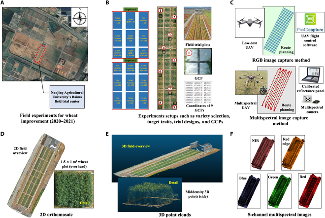 PPhenomics's tweet photo. We propose using low-altitude aerial photography to create 3D point clouds and multispectral images of wheat plots. This helps extract dynamic digital phenotypes for genome-wide association studies. #Wheatplot #Image
Details: https://t.co/aByMVEZUEU https://t.co/UbGkMg8d5Y