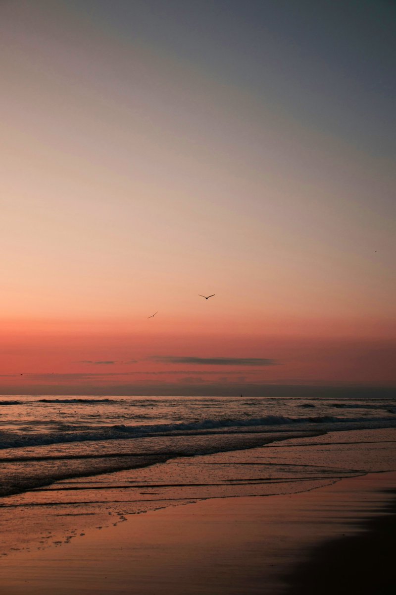 arifali_X's tweet image. As the sun sets, let the evening wrap you in its calm embrace. Reflect, recharge, and let the night whisper promises of a brighter tomorrow. ✨ #EveningReflections #PeacefulMoments