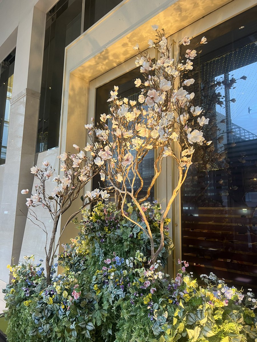 KOko_MVisage's tweet image. #競馬 関係でよく利用する場所(^^)
いつもお世話になってます！
今年に入り何回行った！？というくらいもう
#品川プリンスホテル 利用☆
先日も競馬関係者さん達と
諸々打ち合わせがてらゾロゾロと行き〜
#HAPUNA
朝食もランチもディナーもどれも好き♪♪♪
次は来月いつかしら？笑
オススメです！！