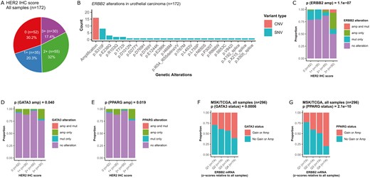 The Oncologist (@oncjournal) on Twitter photo HER2 overexpression in urothelial carcinoma with GATA3 and PPARG copy number gains
<a href="/koshkin85/">Vadim Koshkin MD</a>
doi.org/10.1093/oncolo… HER2 overexpression in urothelial carcinoma with GATA3 and PPARG copy number gains
<a href="/koshkin85/">Vadim Koshkin MD</a>
doi.org/10.1093/oncolo…