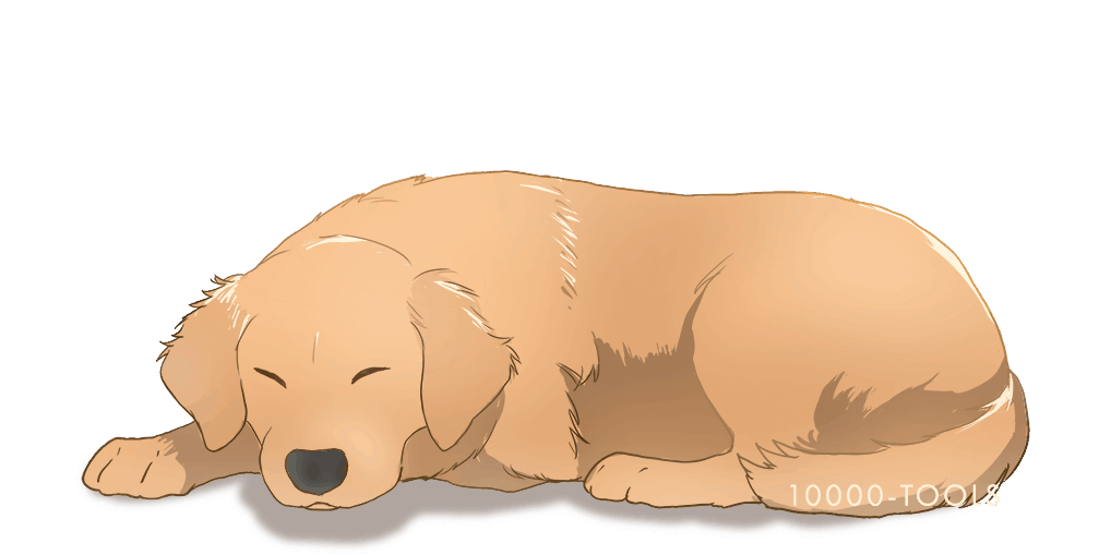 10000_tools's tweet photo. 足や靴を描きたくない時の「不自然に足元で寝てる通りすがりの犬」素材です🐕️
フリー素材です。
自作発言・改変以外は好きにしてください。

気が向いたら犬種増やします

探索者の足元で🐕️が寝てたら嬉しい方もどうぞ https://t.co/EKERt0iuC4