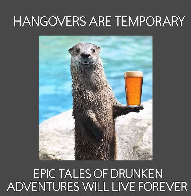 In Otter News.... (@in_otter_news2) on Twitter photo 
