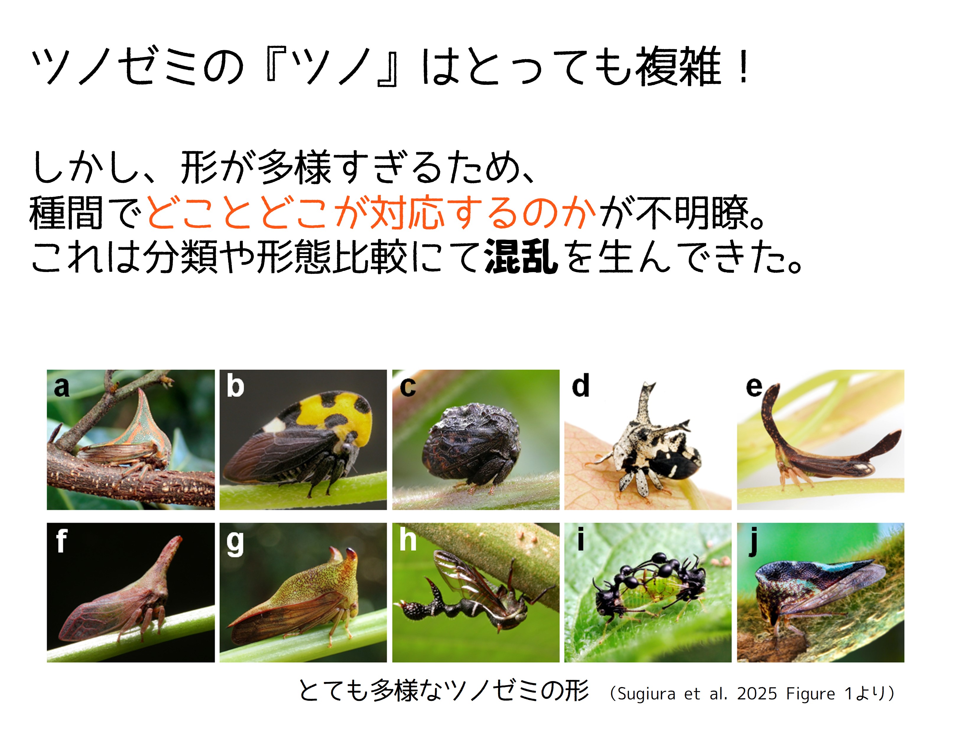 G.Okude (@godonata) / X G.Okude (@godonata) / X