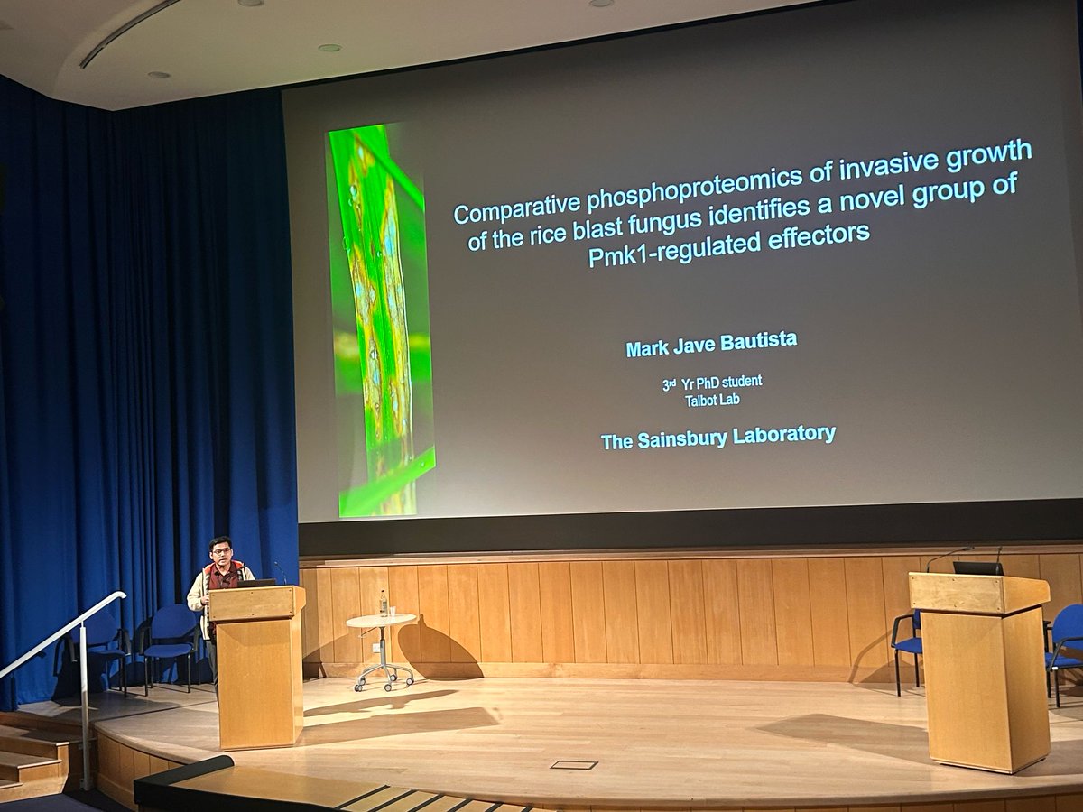talbotlabTSL's tweet photo. Phosphorylated fungal effectors during Magnaporthe infection - a new story from @javebautista17 @TheSainsburyLab #CMINorwich25 https://t.co/uSC5eep4VB