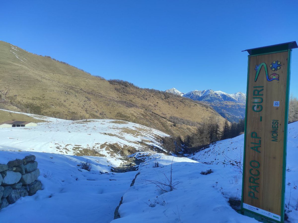 Giorgiz_Ala's tweet image. Ciaspolata #Monesi - Redentore - Saccarello di giovedì 20 febbraio.
Attraverso due Parchi e altrettante Zone Protette (ZSC Monte Saccarello - Monte Frontè , Alte Valli Pesio e Tanaro).
#LaMiaLiguria #VisitPiemonte
📍#Triora @ParcoAlpiLiguri / #BrigaAlta #AreeProtetteAlpiMarittime