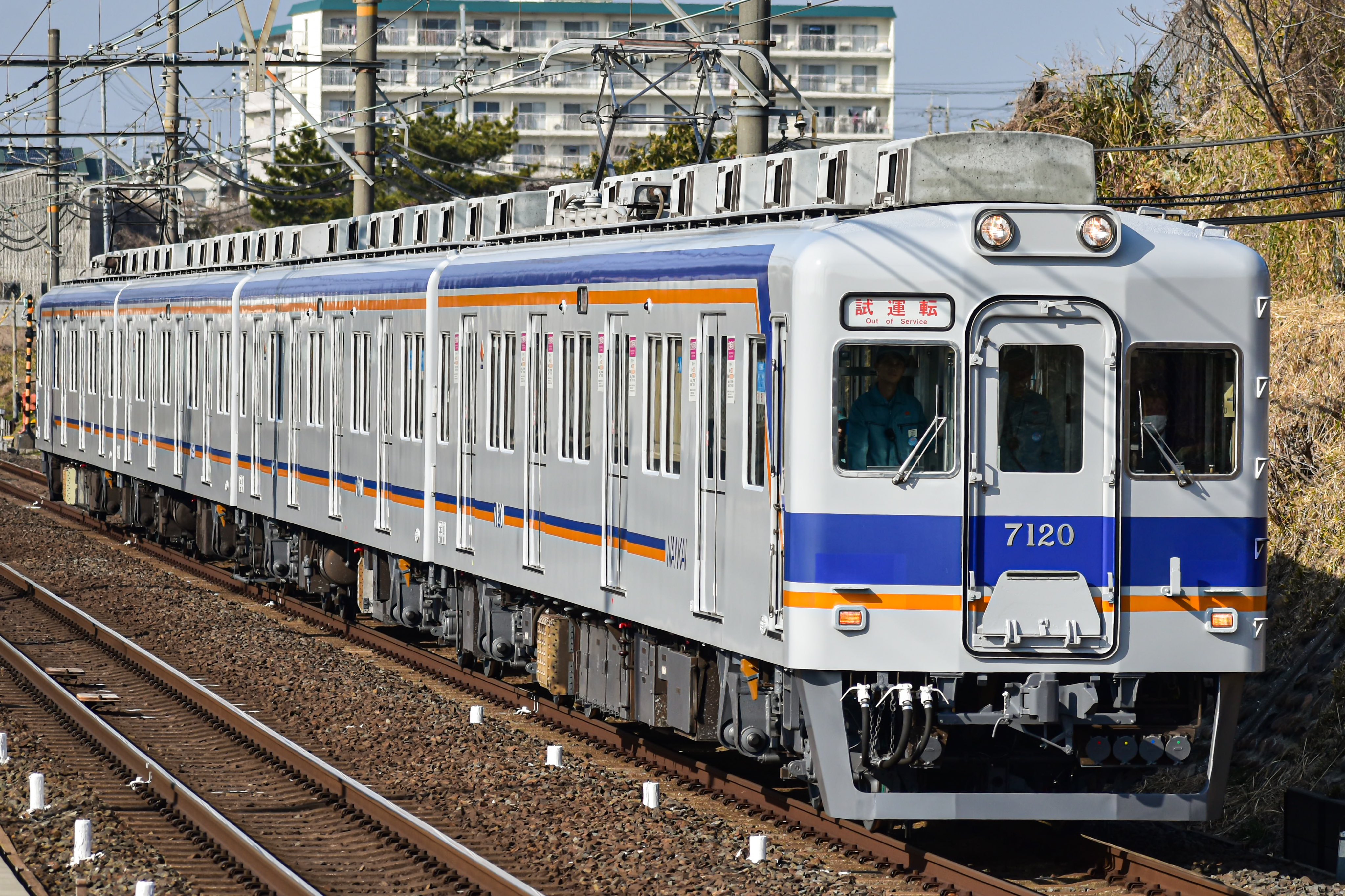 千代田区パセリ on X: 