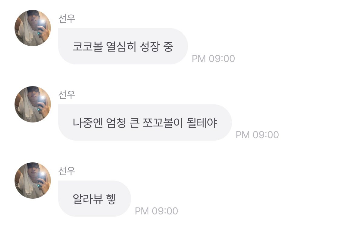 비비 tweet media