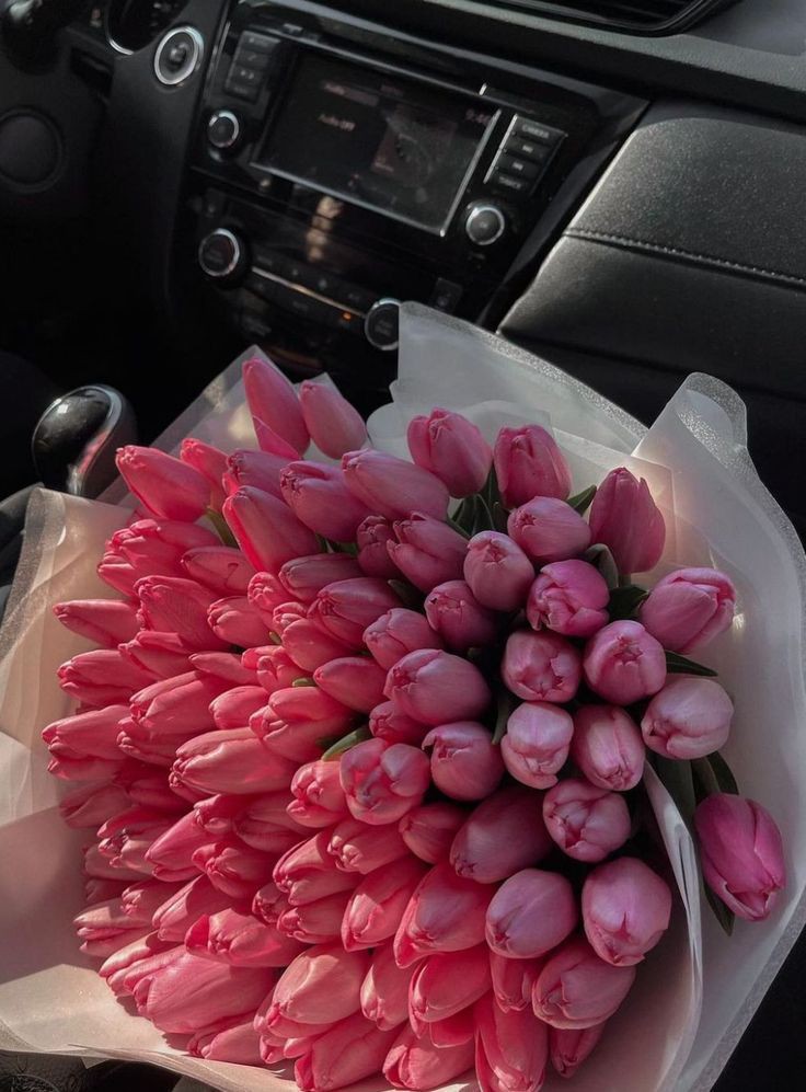 tutututututulip's tweet image. 