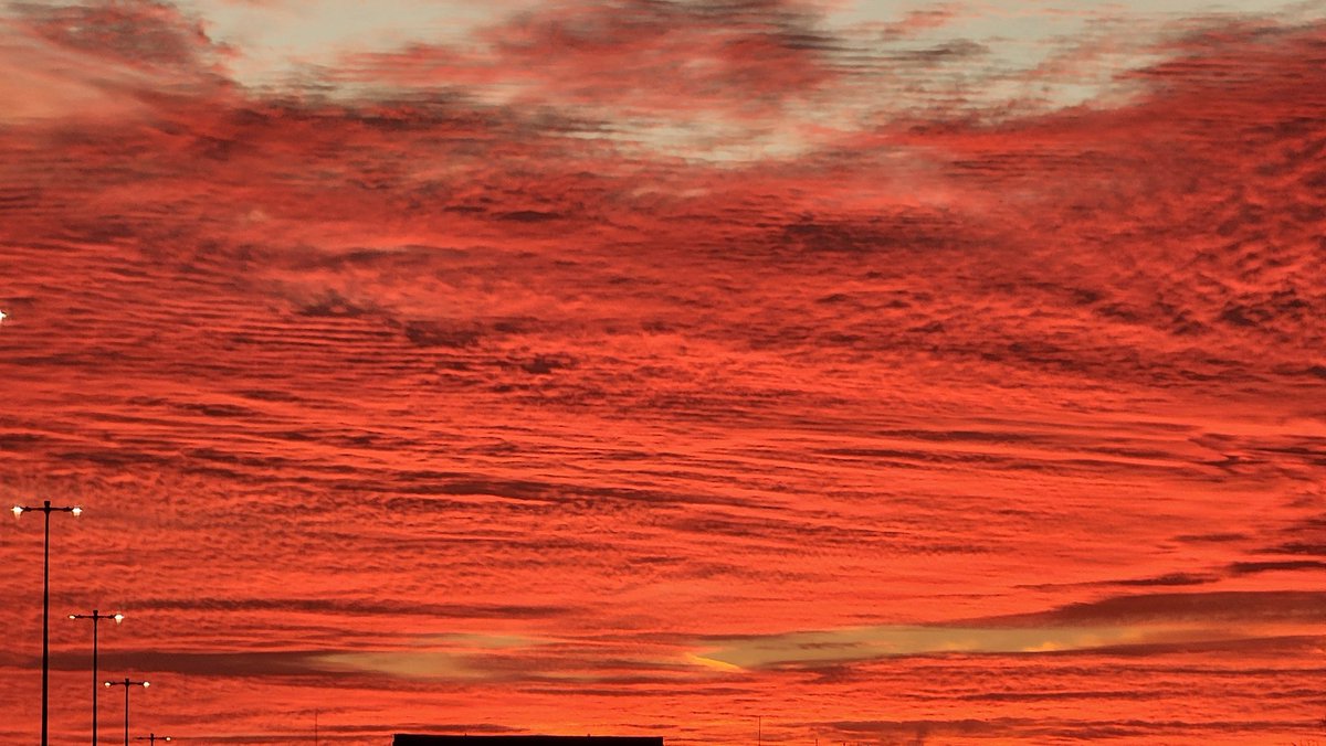 SimonPeter tweet media