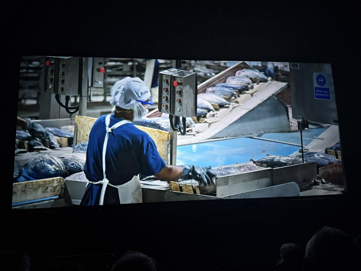 Nuestra flota genera miles de puestos de trabajo, también en los puertos base donde operan nuestros barcos. 

<a href="/_Opagac/">OPAGAC</a> 
🎬 1’17