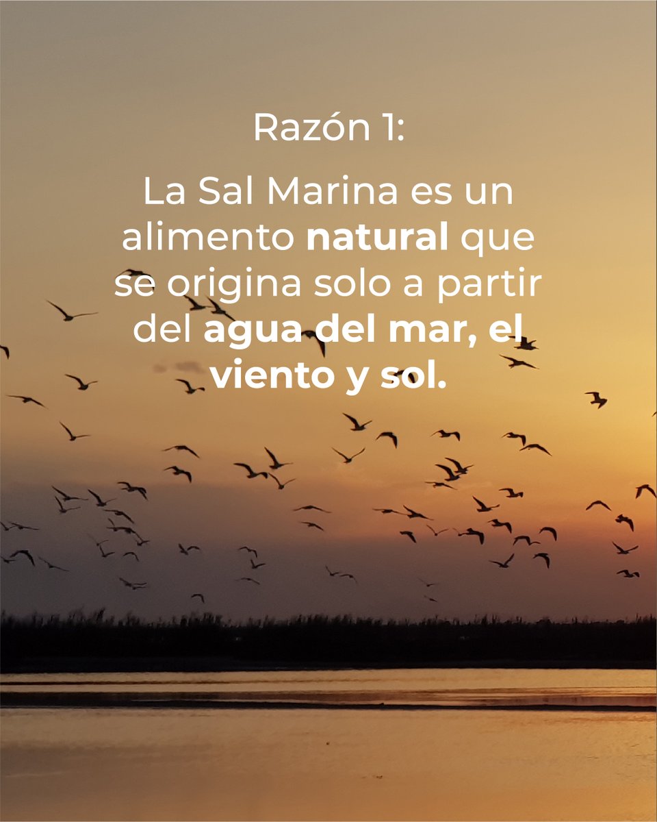 Asociación SALIMAR tweet media