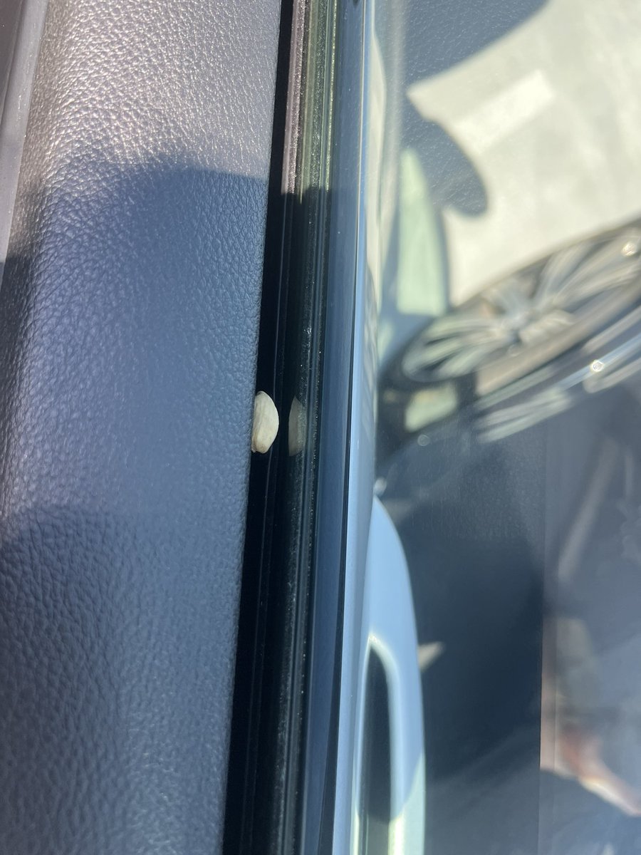 kyle gauthreaux tweet media