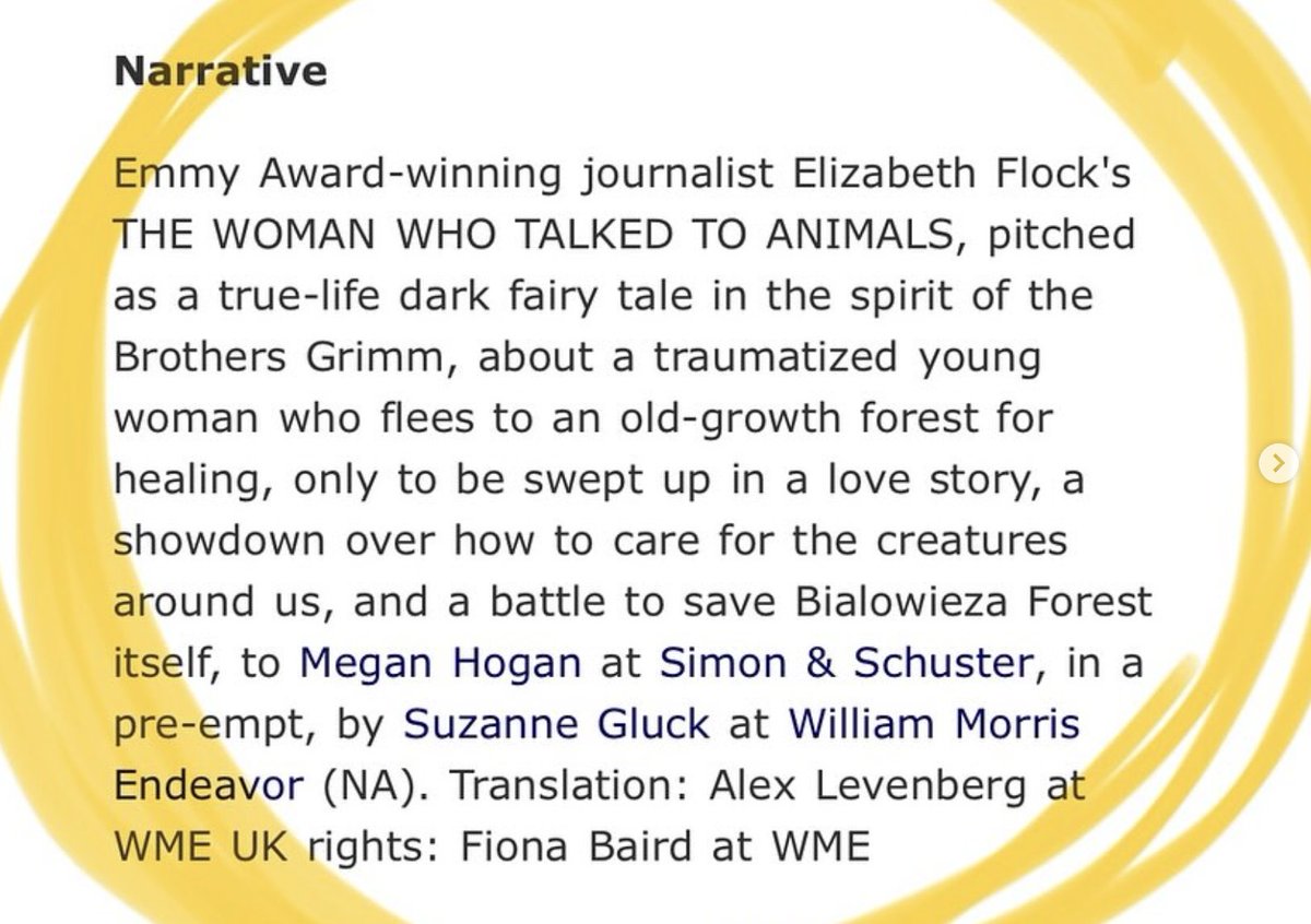 Elizabeth Flock tweet media
