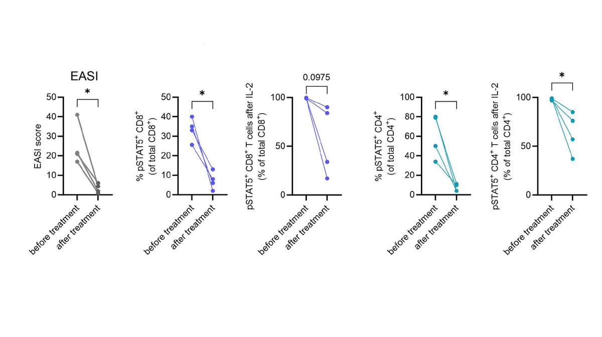 Dichotomous STAT5 and STAT6 Activation in T Cells Reflects Cytokine Shifts Between Blood and Skin in Atopic Dermatitis. First author: Andreas Boldt; corresponding author: Benjamin Klein

Read the article here: doi.org/10.1111/all.16…

The Janus kinase (JAK) signal transducer and