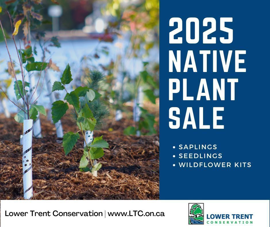 Dreaming of Summer....there’s no better way to chase away the winter blues than by planning your next planting project! 

LTC has you covered with a wide selection plants to bring your garden or landscaping dreams to life.   buff.ly/3PCFZ1V