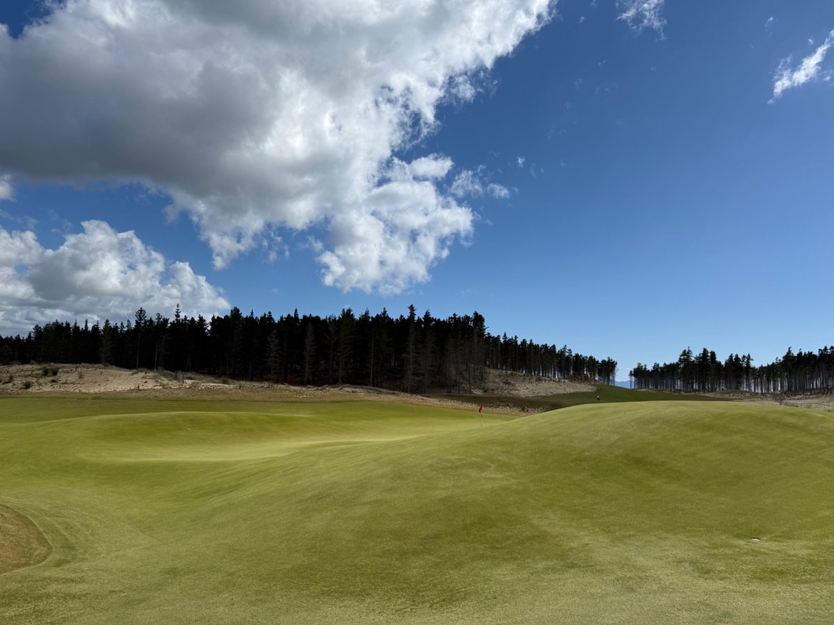 Rick Golfs tweet media