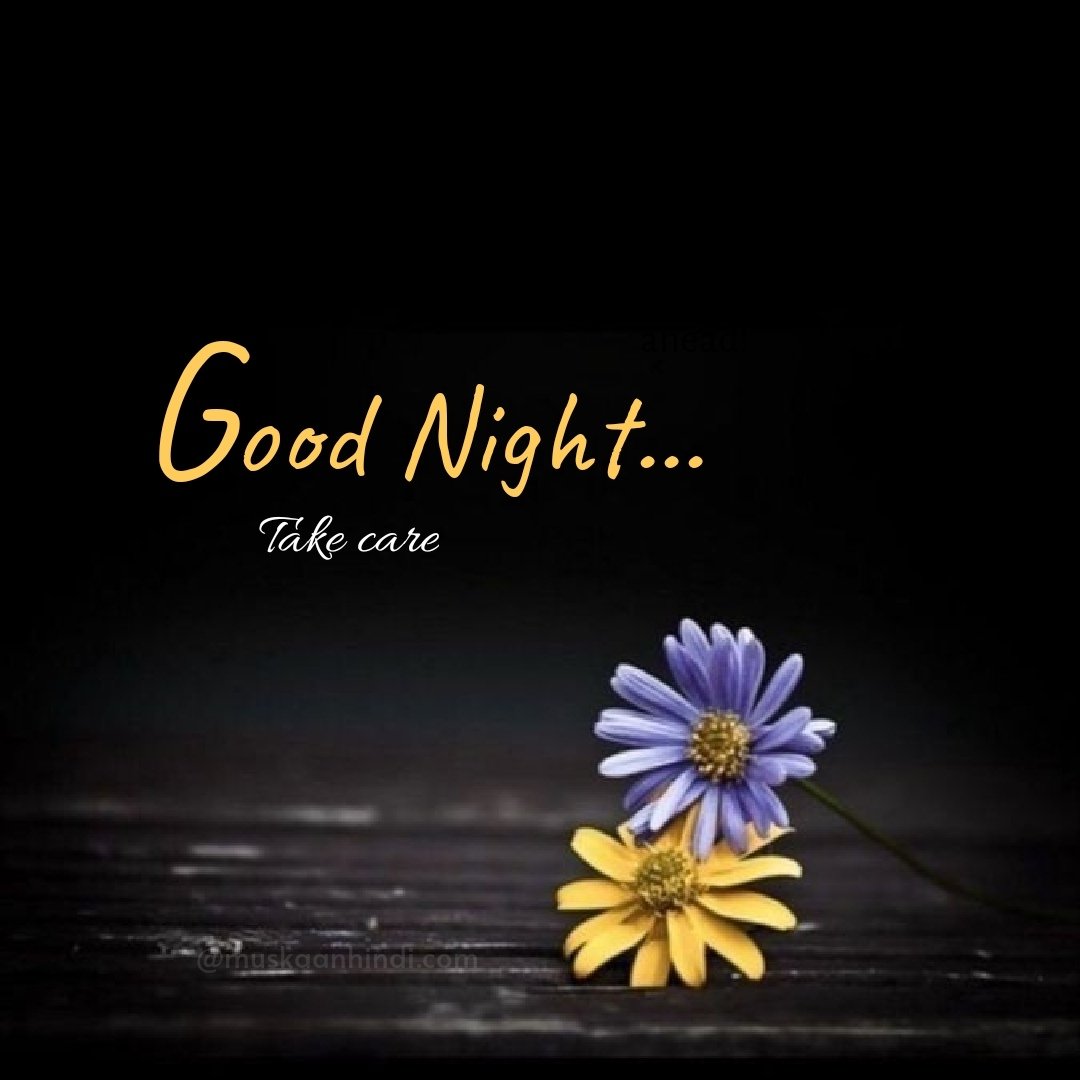 sadaf irfan tweet media