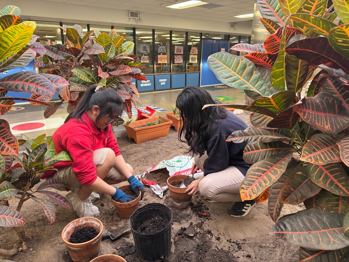 Shoutout to our amazing Garden Club for cleaning and organizing our atrium garden! 🌱🌸 Your dedication to keeping our space beautiful and green is truly appreciated.