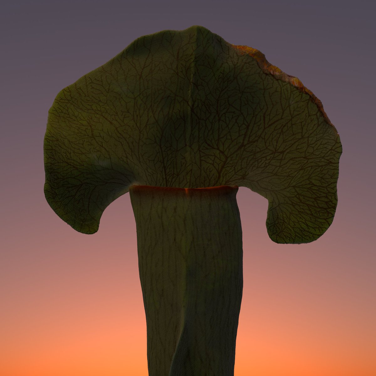 drbolick tweet media