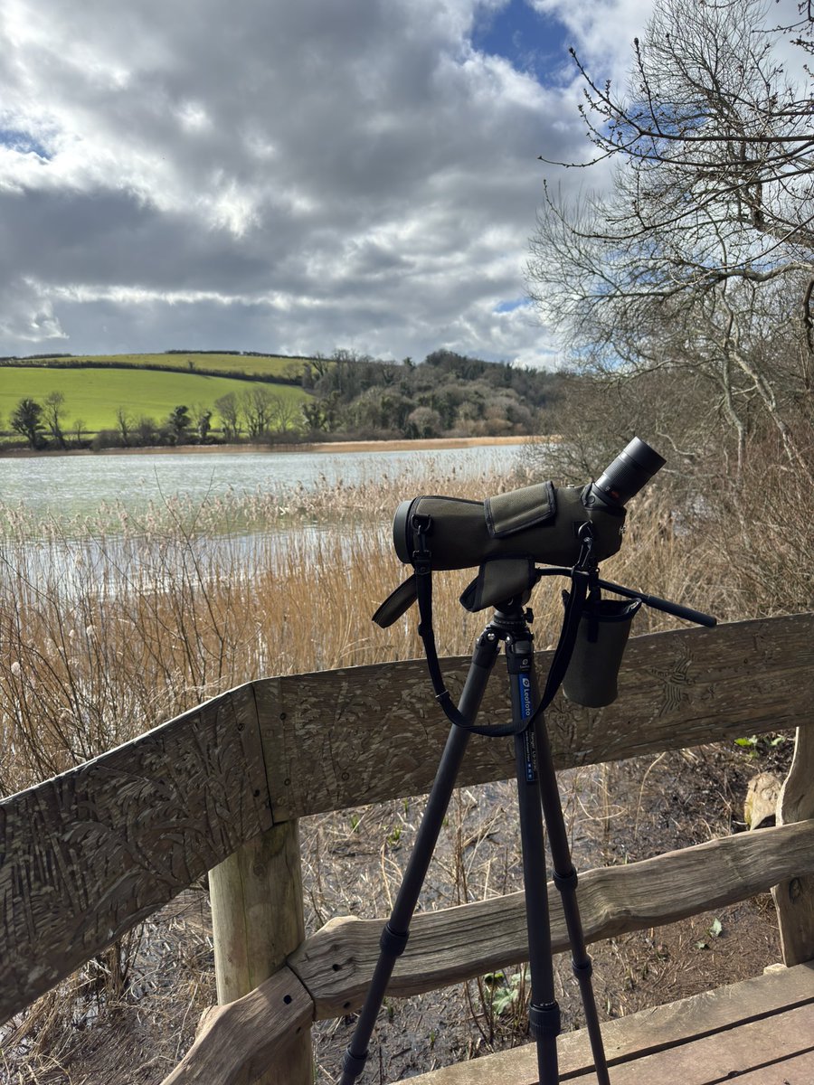 Steve Hearn (@stevesdhearn22) on Twitter photo Slapton today - very Spring like. Best birds male Ring-necked Duck close to hide (apologies for iPhone photo!), Red-necked Grebe, male Goldeneye, RT Diver on sea and 2 Firecrest one singing <a href="/DevonBirds/">Devon Birds</a> <a href="/wildlife_devon/">Wildlife In Devon</a> Slapton today - very Spring like. Best birds male Ring-necked Duck close to hide (apologies for iPhone photo!), Red-necked Grebe, male Goldeneye, RT Diver on sea and 2 Firecrest one singing <a href="/DevonBirds/">Devon Birds</a> <a href="/wildlife_devon/">Wildlife In Devon</a>
