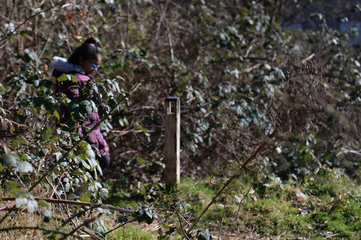 St Stephen’s CE Primary School tweet media