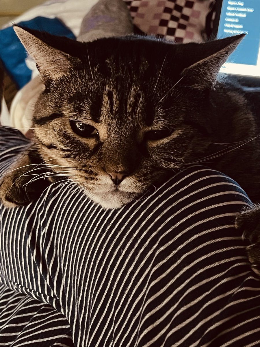 Queen of Typos tweet media