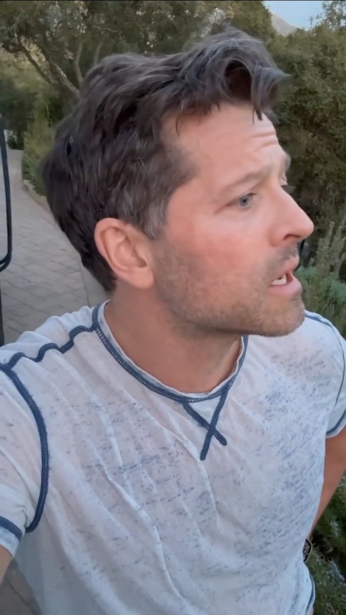 Daily_Collins's tweet image. 