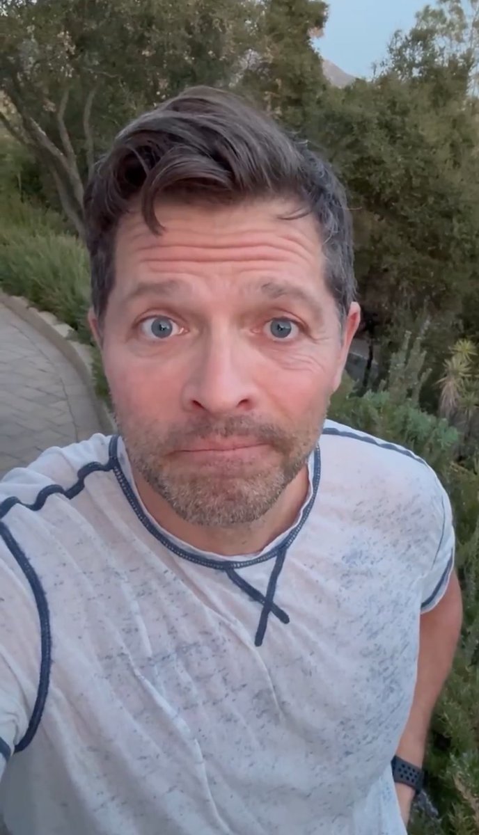 Daily_Collins's tweet image. 