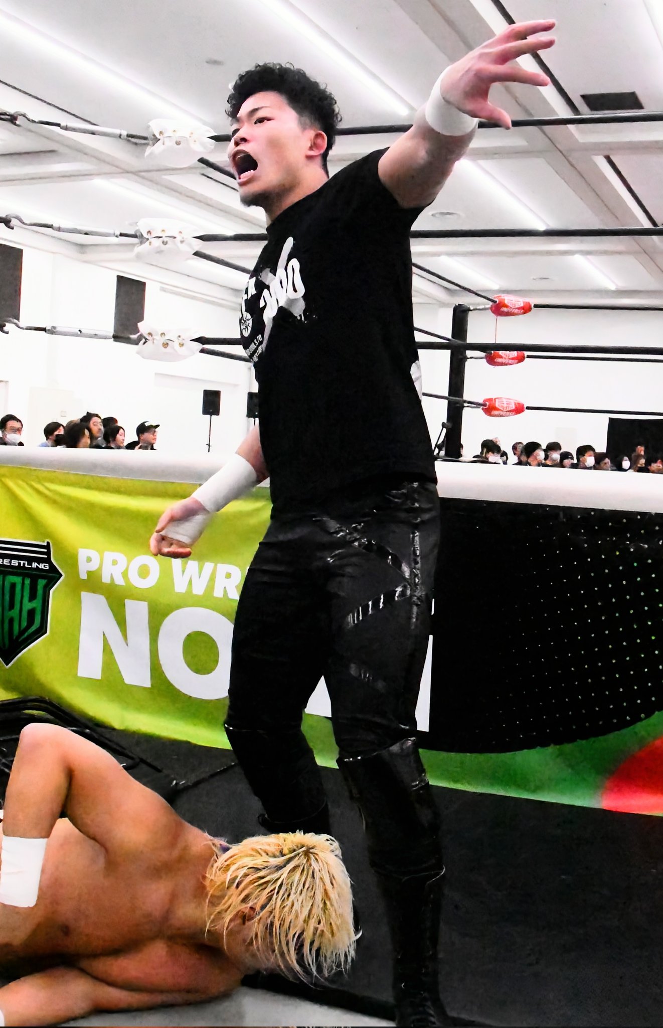 【正規品】ウェストハム 2016-17 オグボンナ RANDOM 100 (280g) - Prince プリンステニス公式サイト