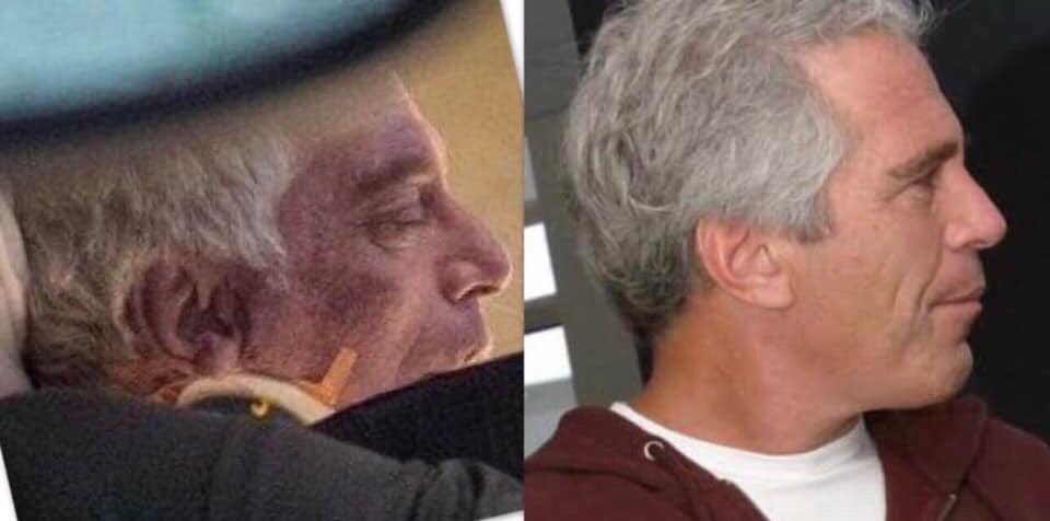 RealFletch17's tweet image. They can never get 
The ears right…..