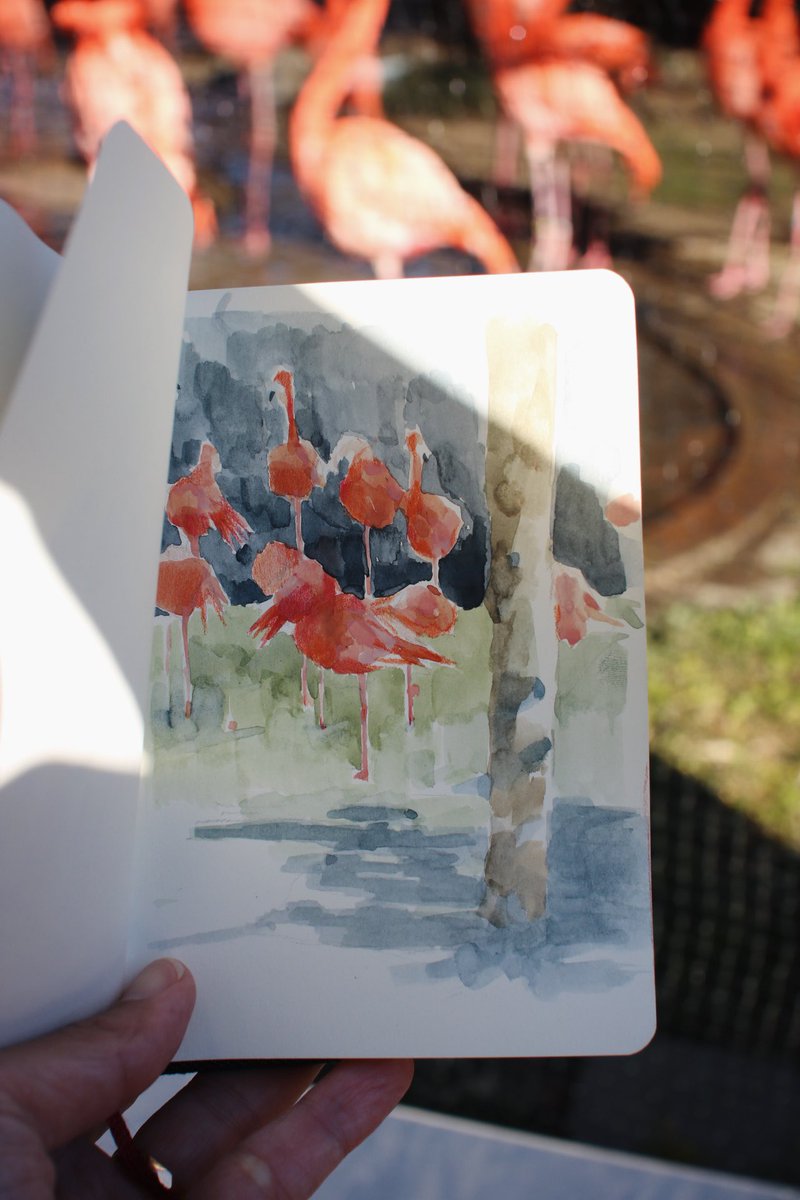 yukiyokoo_draw's tweet image. 上野動物園でのスケッチ
動いているものを水彩で描きとめるといのが少しハードルが高い気がした。
けど楽しかった。
#ウォーキングスケッチ