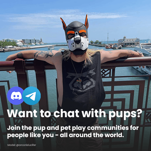 Where is everyone?

Join our Telegram and Discord communities - we are all hanging out here:  

linktr.ee/verybadpups 

#pupplay #puppyplay #petplay #puppyplaycommunity #pupgear #puphood #puptail #pupkink #gaypup