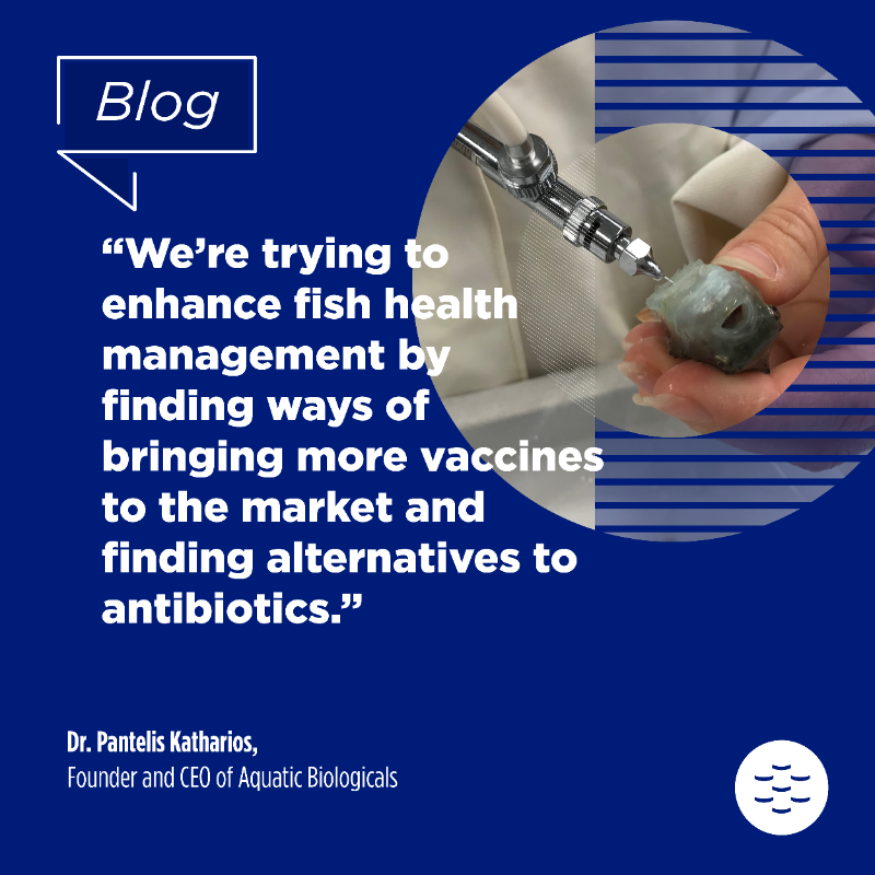 EMBRC_EU's tweet photo. #EMBRCBlog | 👉 What are the benefits & challenges of innovative disease control strategies in #MarineAquaculture?
🔗 Find out in our Q&A with Dr. Pantelis Katharios, Founder and CEO of Aquatic Biologicals (@HcmrImbbc / @EMBRC_GR)
@AgroServEU @AQUASERV_RI