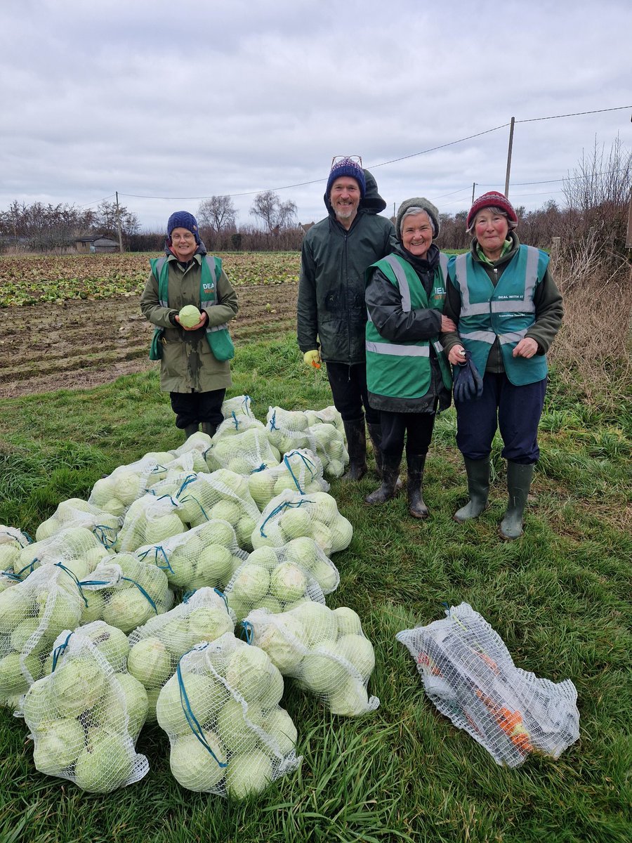 DealWithIT (@deal_withit) on Twitter photo Thank you to our 7 volunteers on today's Potato & Cabbage glean of some 556kilos. This brings our total for the first two months of 2025 to 4tons.
Many thanks to T&S Bradley Farm for their 👏 amazing support to us and local food charities.
@feedbackorg <a href="/DoverDC/">Dover District Council</a> Thank you to our 7 volunteers on today's Potato & Cabbage glean of some 556kilos. This brings our total for the first two months of 2025 to 4tons.
Many thanks to T&S Bradley Farm for their 👏 amazing support to us and local food charities.
@feedbackorg <a href="/DoverDC/">Dover District Council</a>
