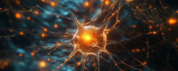 Cancer Discovery (@cd_aacr) on Twitter photo #ResearchWatch: Neuroendocrine Differentiation Promotes Lung Tumorigenesis Via Electrical Activity brnw.ch/21wQZEF
A summary of a study by <a href="/paolapeinadof/">Paola Peinado, PhD</a>, Marco Stazi, <a href="/claballabio/">Claudio Ballabio</a>, <a href="/LeanneLi_Crick/">Leanne Li</a>, and colleagues.
<a href="/TheCrick/">The Francis Crick Institute</a> <a href="/LiGroup_Crick/">Leanne Li Lab</a> #LungCancer #CancerNeuroscience #ResearchWatch: Neuroendocrine Differentiation Promotes Lung Tumorigenesis Via Electrical Activity brnw.ch/21wQZEF
A summary of a study by <a href="/paolapeinadof/">Paola Peinado, PhD</a>, Marco Stazi, <a href="/claballabio/">Claudio Ballabio</a>, <a href="/LeanneLi_Crick/">Leanne Li</a>, and colleagues.
<a href="/TheCrick/">The Francis Crick Institute</a> <a href="/LiGroup_Crick/">Leanne Li Lab</a> #LungCancer #CancerNeuroscience