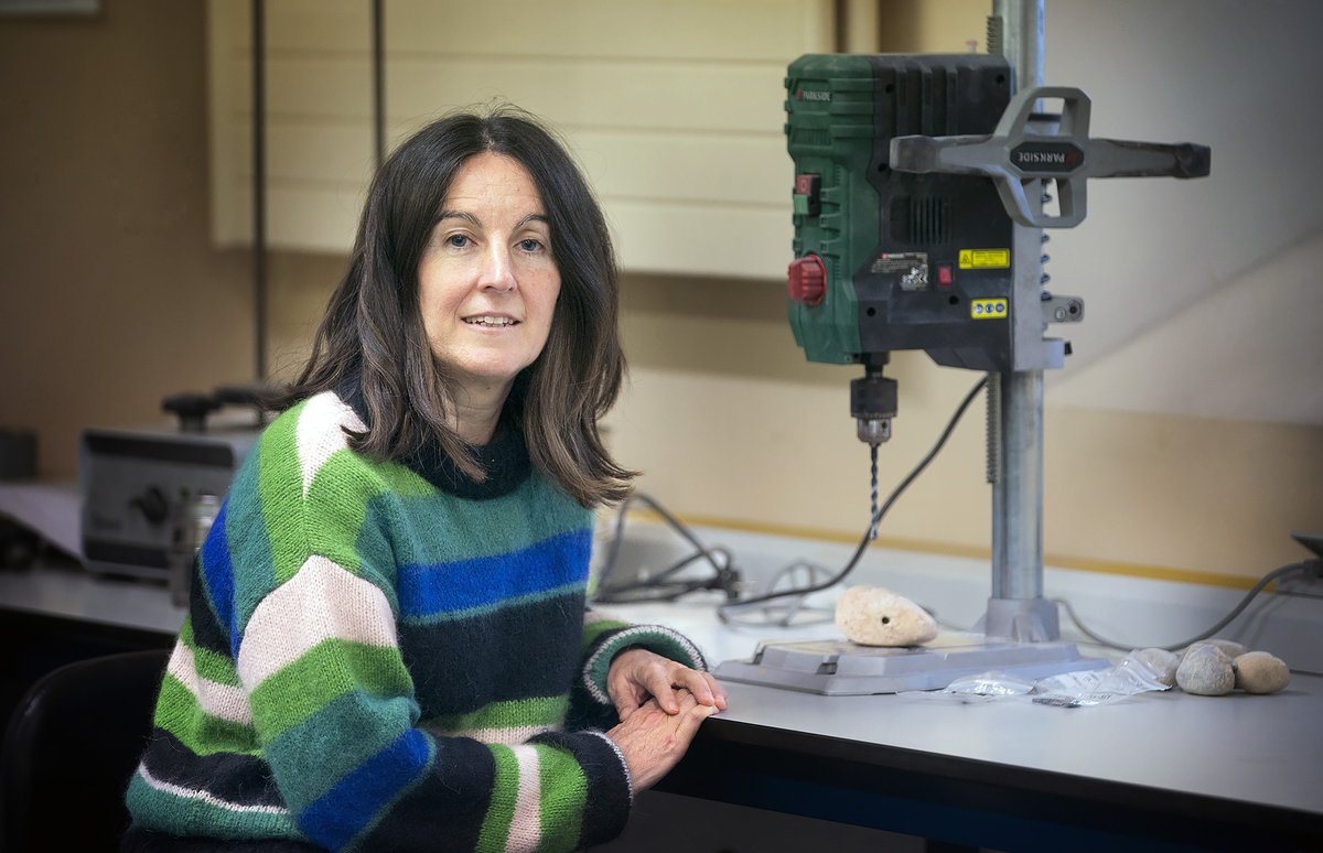 Ba al zenekien presa bat botatzean ibaia suspertu egiten dela?🌊🪨 UPV/EHUko ikerketa batek erakutsi du hori.
ehu.eus/eu/web/campusa…

¿Sabías que al demoler una presa el río 🪨🌊se revitaliza? Una investigación de la UPV/EHU lo ha demostrado. 
ehu.eus/es/web/campusa…